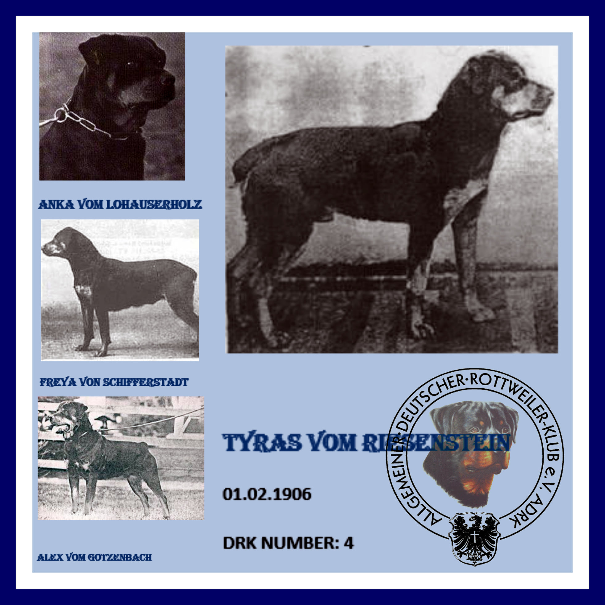HISTORY OF THE ROTTWEILER BLOG