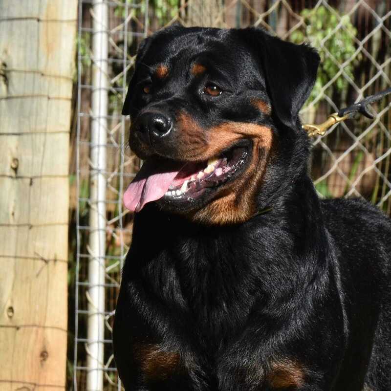 NALA1 NALA1